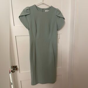 Calvin Klein Sage Tulip Sleeve Midi Dress
